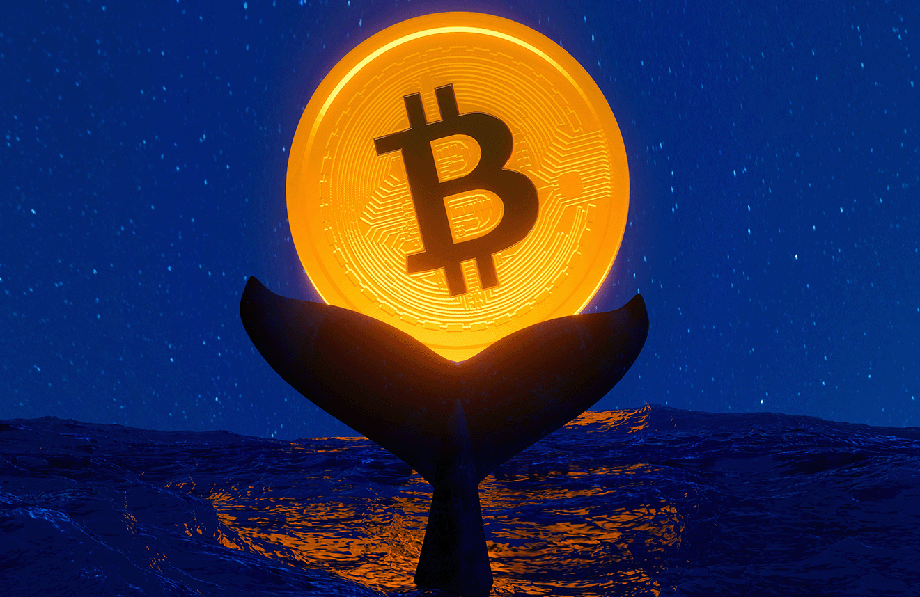 代币值得投资吗 | 代币投资前景评估